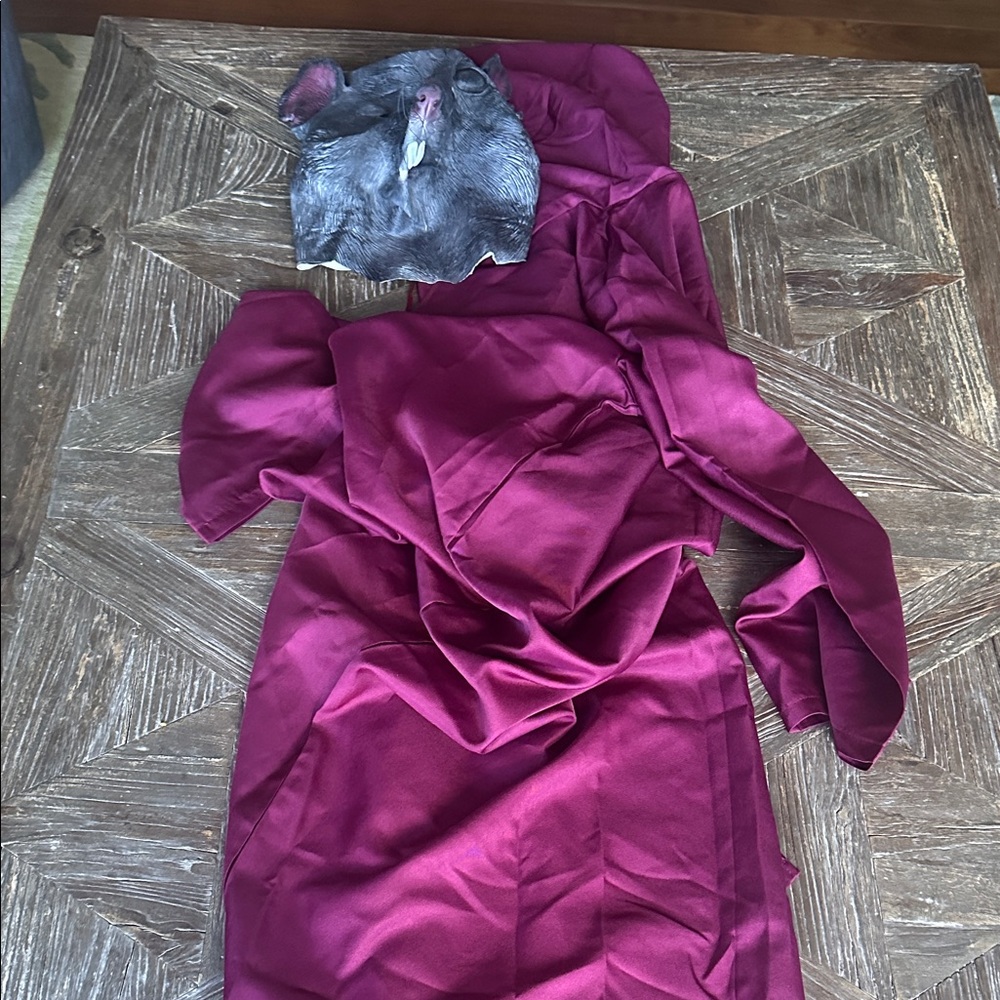 Master Splinter Costume Large